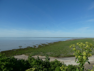08_Pointe Saint Clément_Hélène Goossens (3)-min.jpg